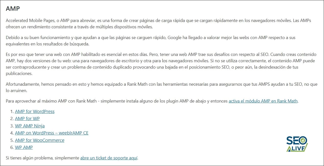 AMP SEO