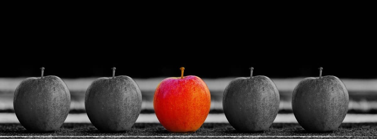 Contenido Duplicado SEO