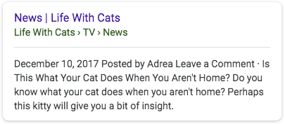 Breadcrumbs SEO