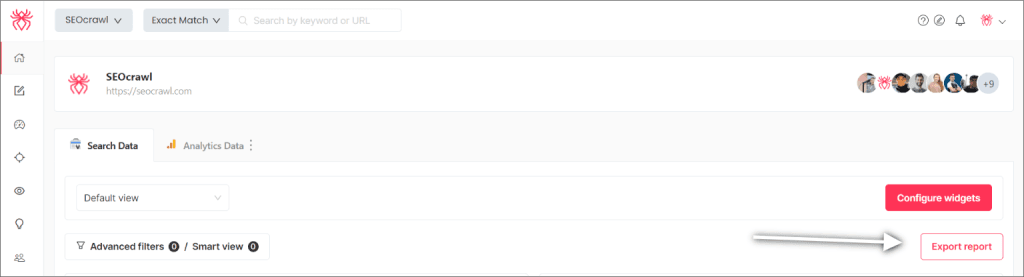 Export SEO Report