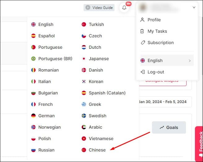 Idiomas disponibles en SEOcrawl