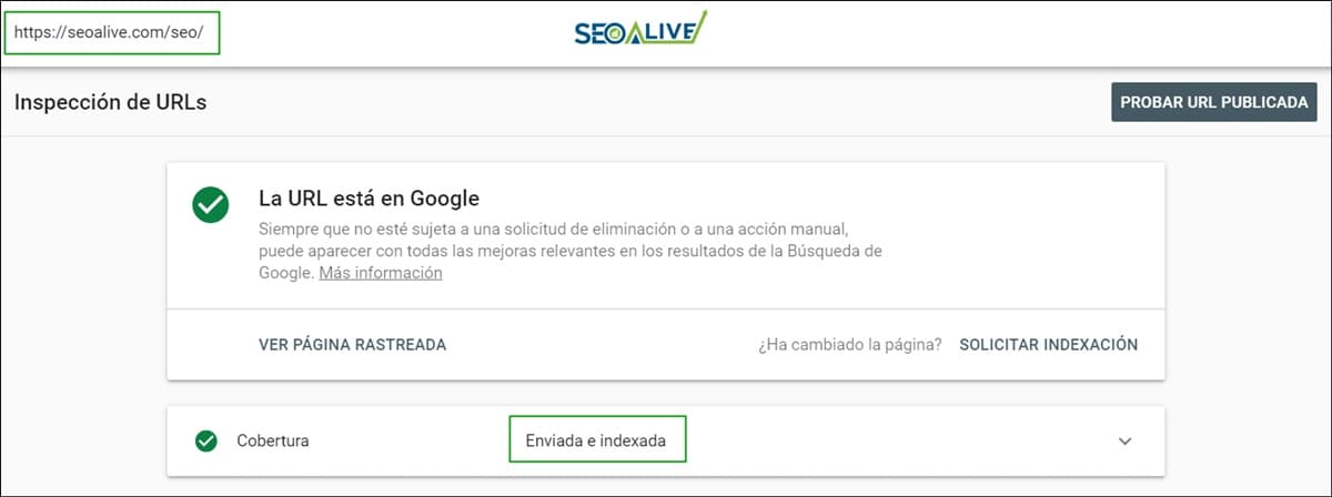 Google indexing