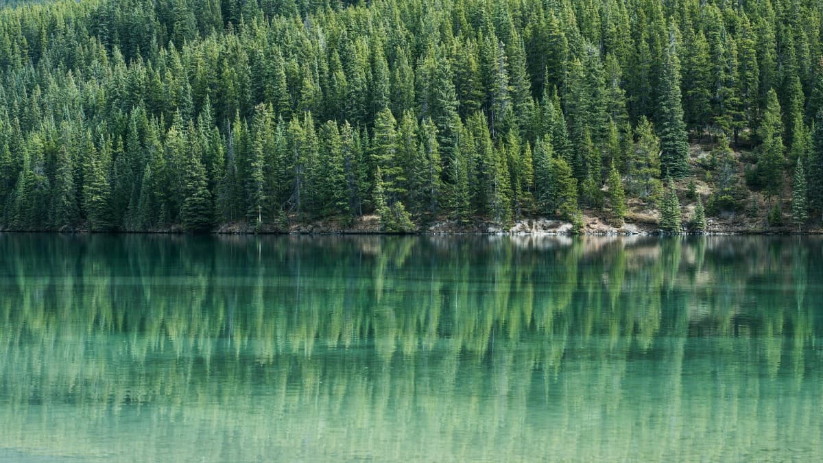 Contenido Evergreen SEo