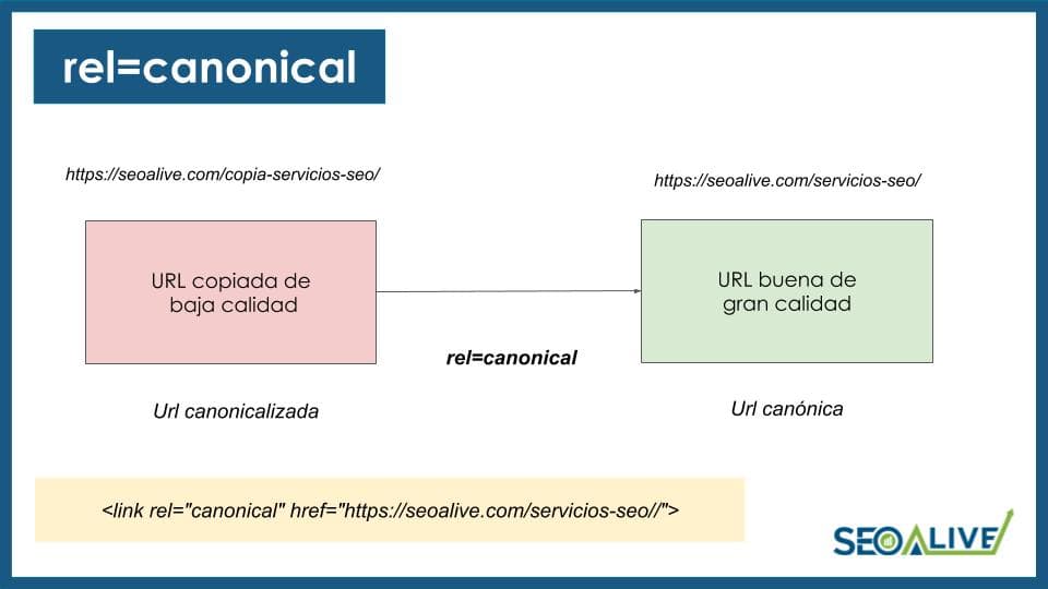 Rel Canonical