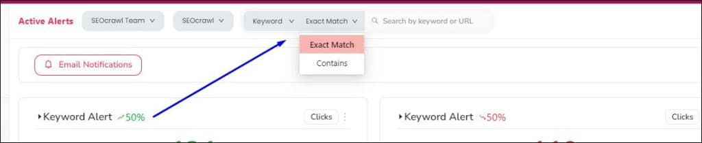 Search by keyword and url in SEOcrawl