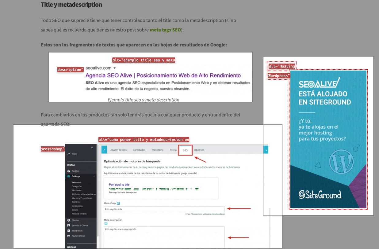 Web Developer 확장 프로그램의 ALT 속성 표시 툴팁