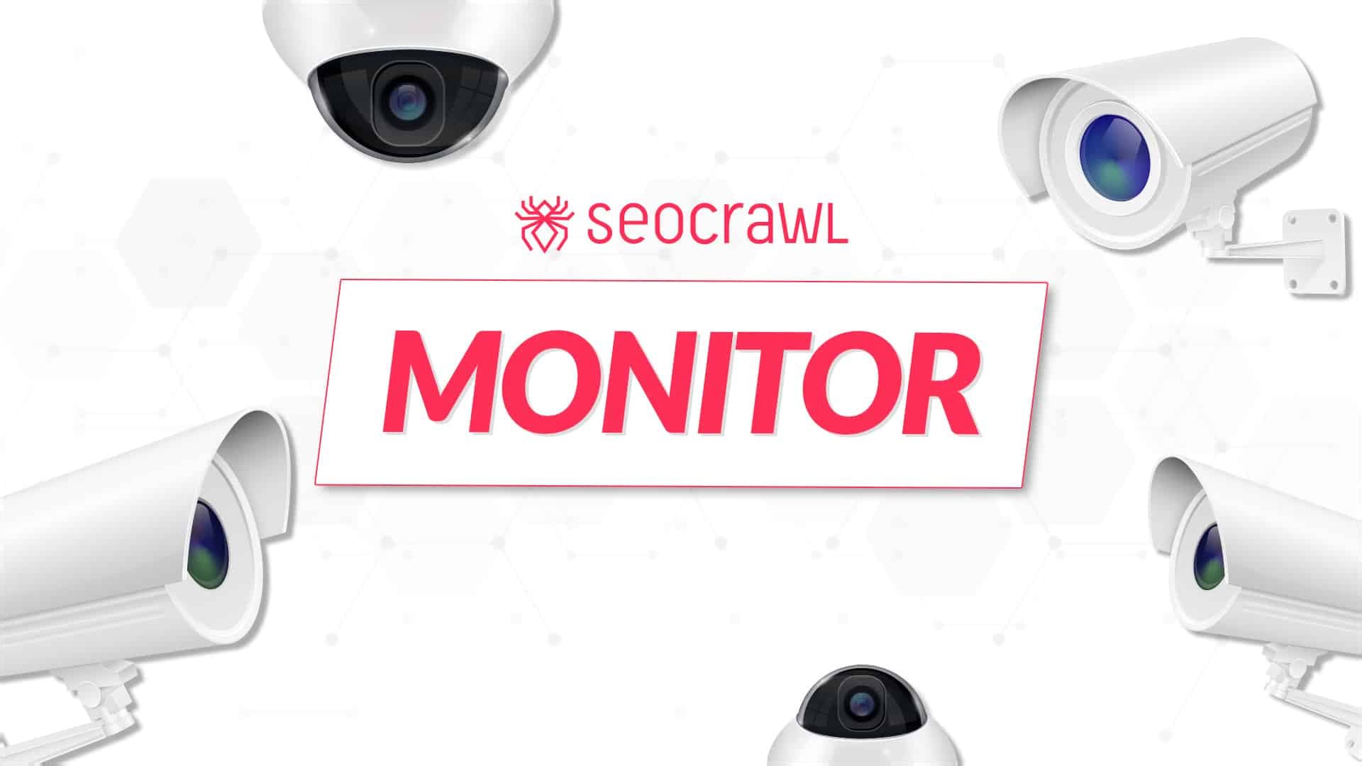 새로운 SEO 모니터로 웹사이트의 모든 변화를 통제하세요