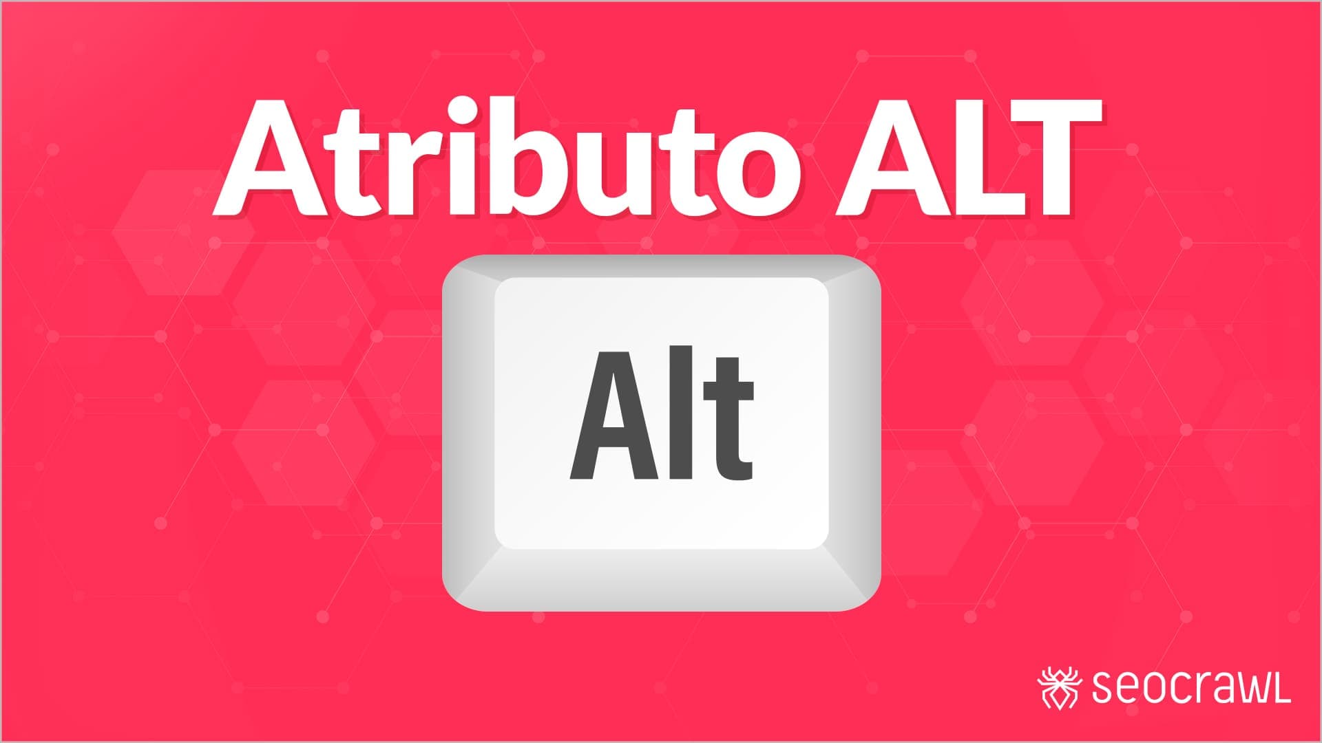¿Es importante el atributo ALT en las imágenes?