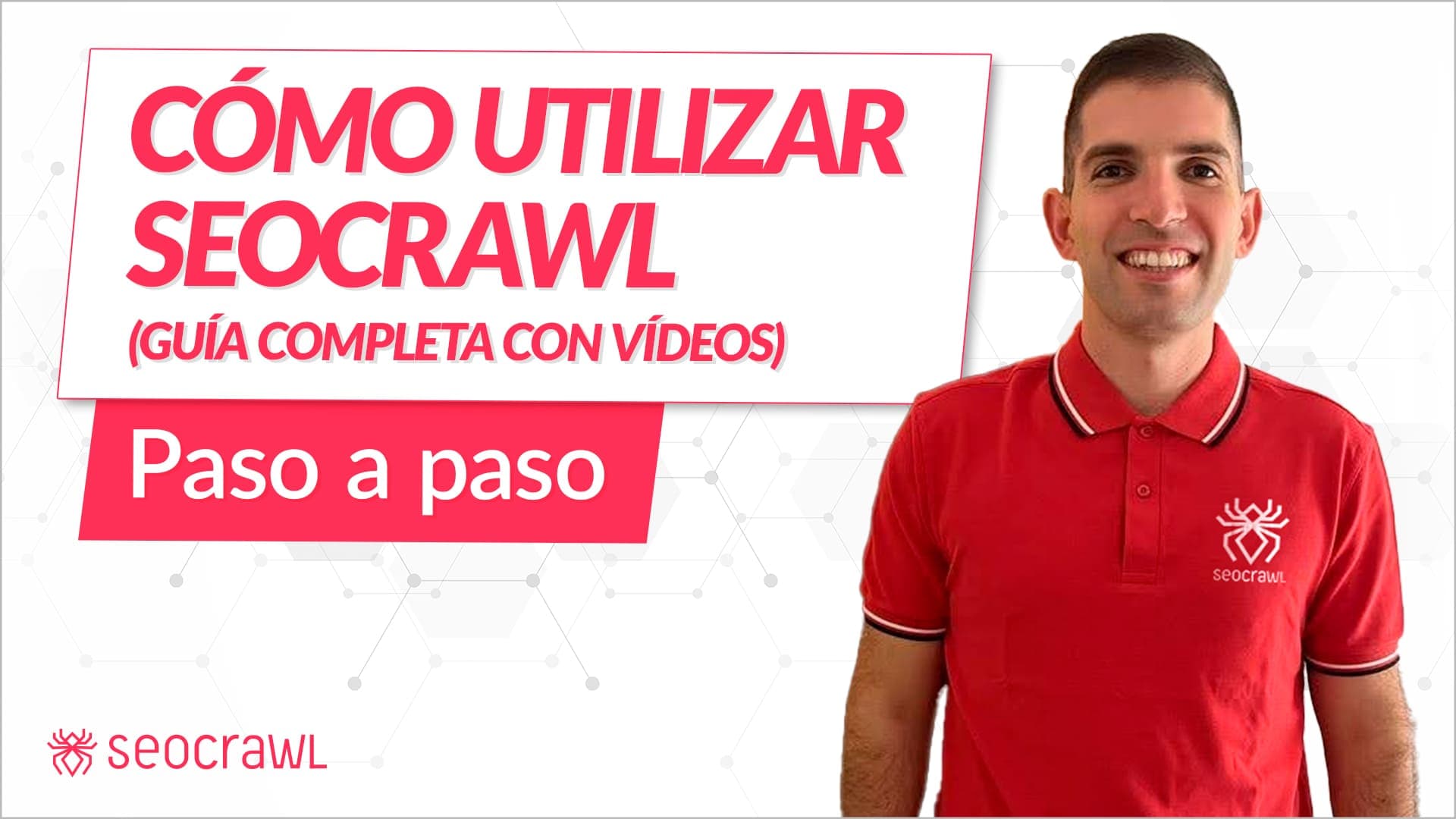 Cómo utilizar SEOcrawl paso a paso (guía completa con vídeos)