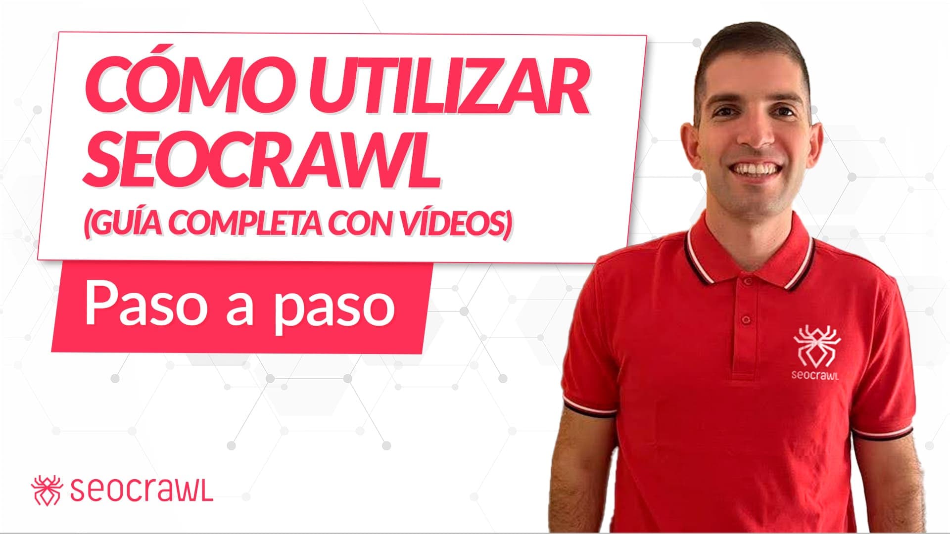 Cómo utilizar SEOcrawl paso a paso (guía completa con vídeos)