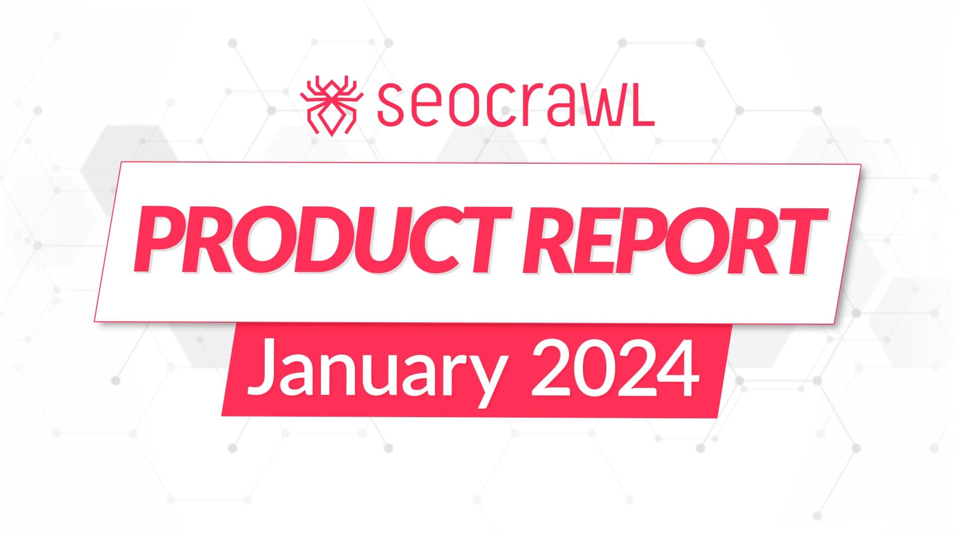 Product Report January 2024
