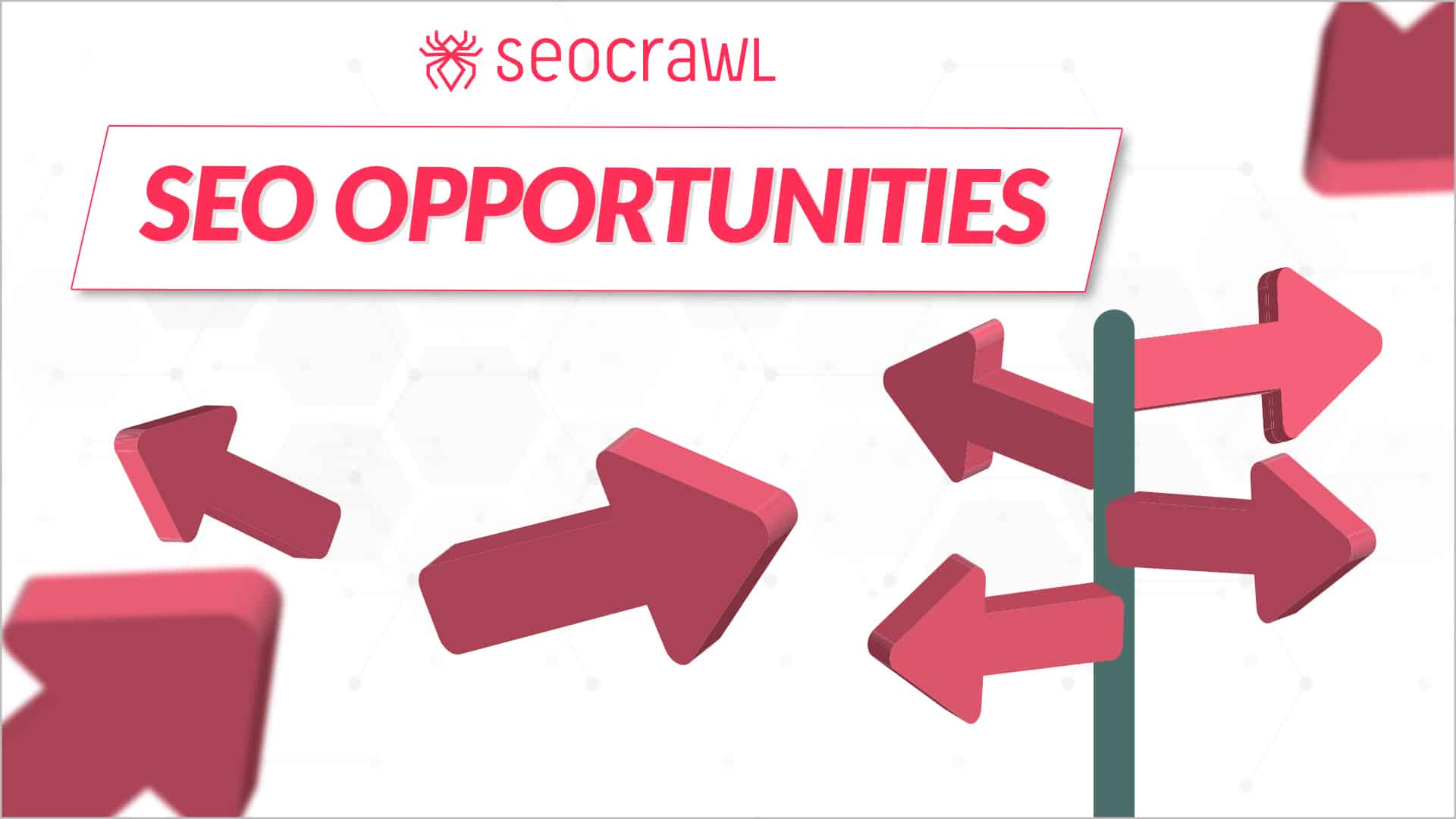 SEO Opportunities