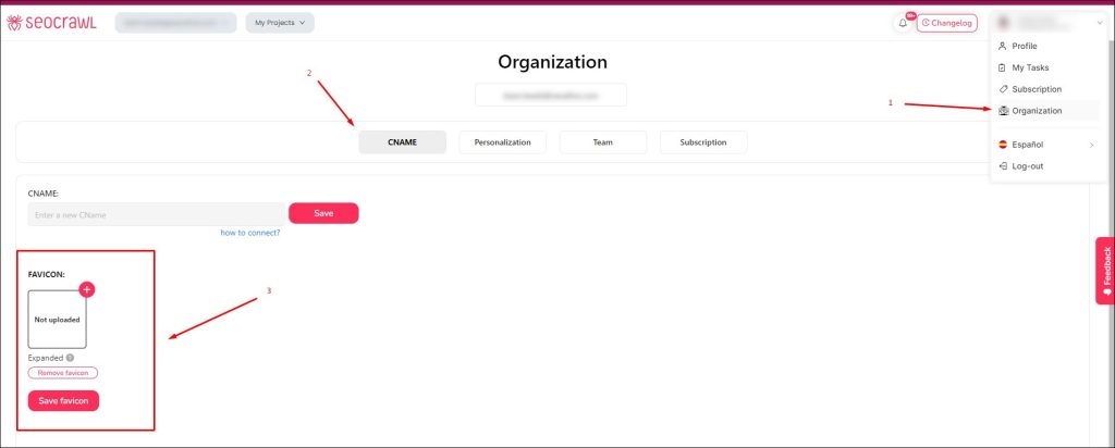 Custom CNAME en SEOcrawl