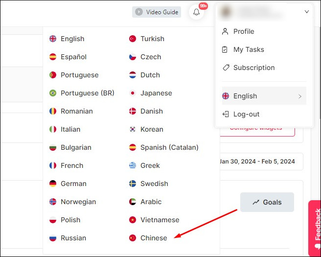 Idiomas disponibles en SEOcrawl