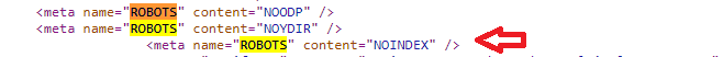 meta robots noindex in the source code