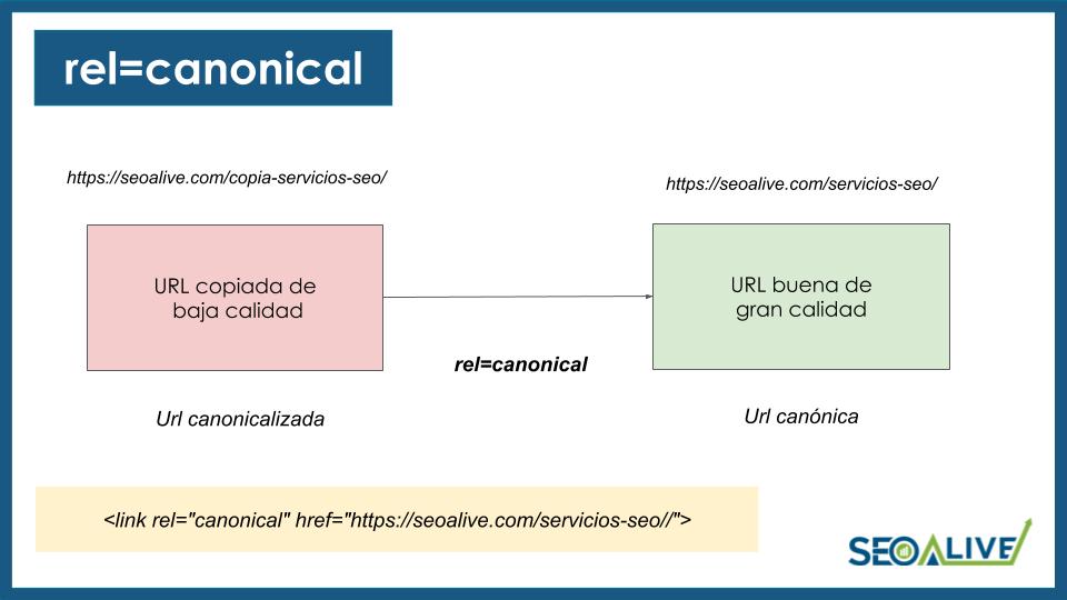 Rel Canonical