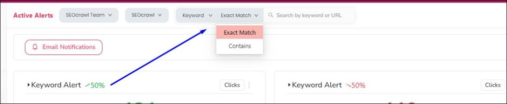 Buscador por keyword y url en SEOcrawl