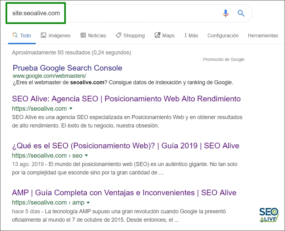 Búsqueda Site Google